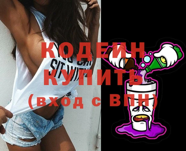 хмурый Новозыбков