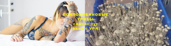 jwh Новокубанск
