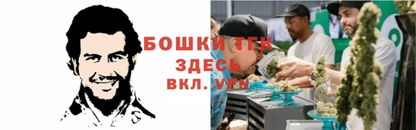 хмурый Новозыбков