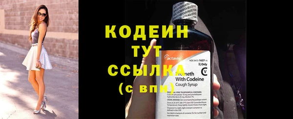 хмурый Новозыбков