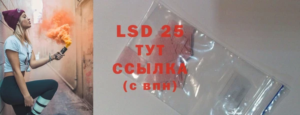 хмурый Новозыбков