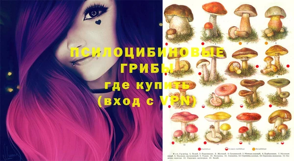 меф Новодвинск