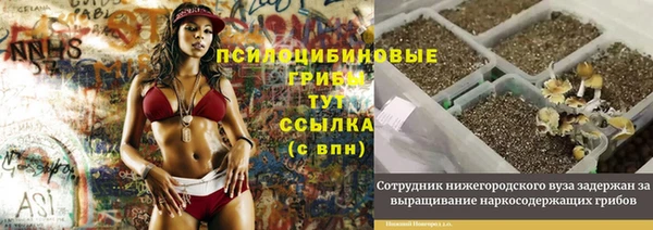 меф Новодвинск
