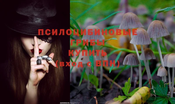 jwh Новокубанск