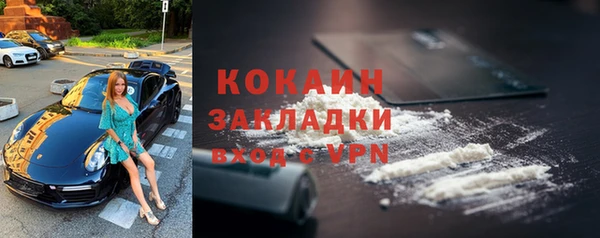 хмурый Новозыбков