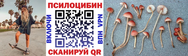 купить наркотик  Лесозаводск  Псилоцибиновые грибы Cubensis 