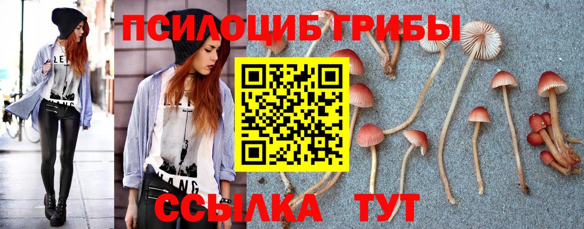 Галлюциногенные грибы мухоморы  где продают наркотики  Лесозаводск 